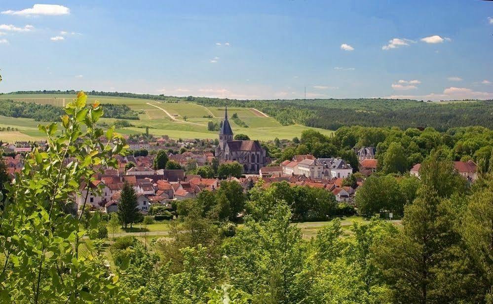 Mussy-sur-Seine La Promenade En Champagne B&B 외부 사진