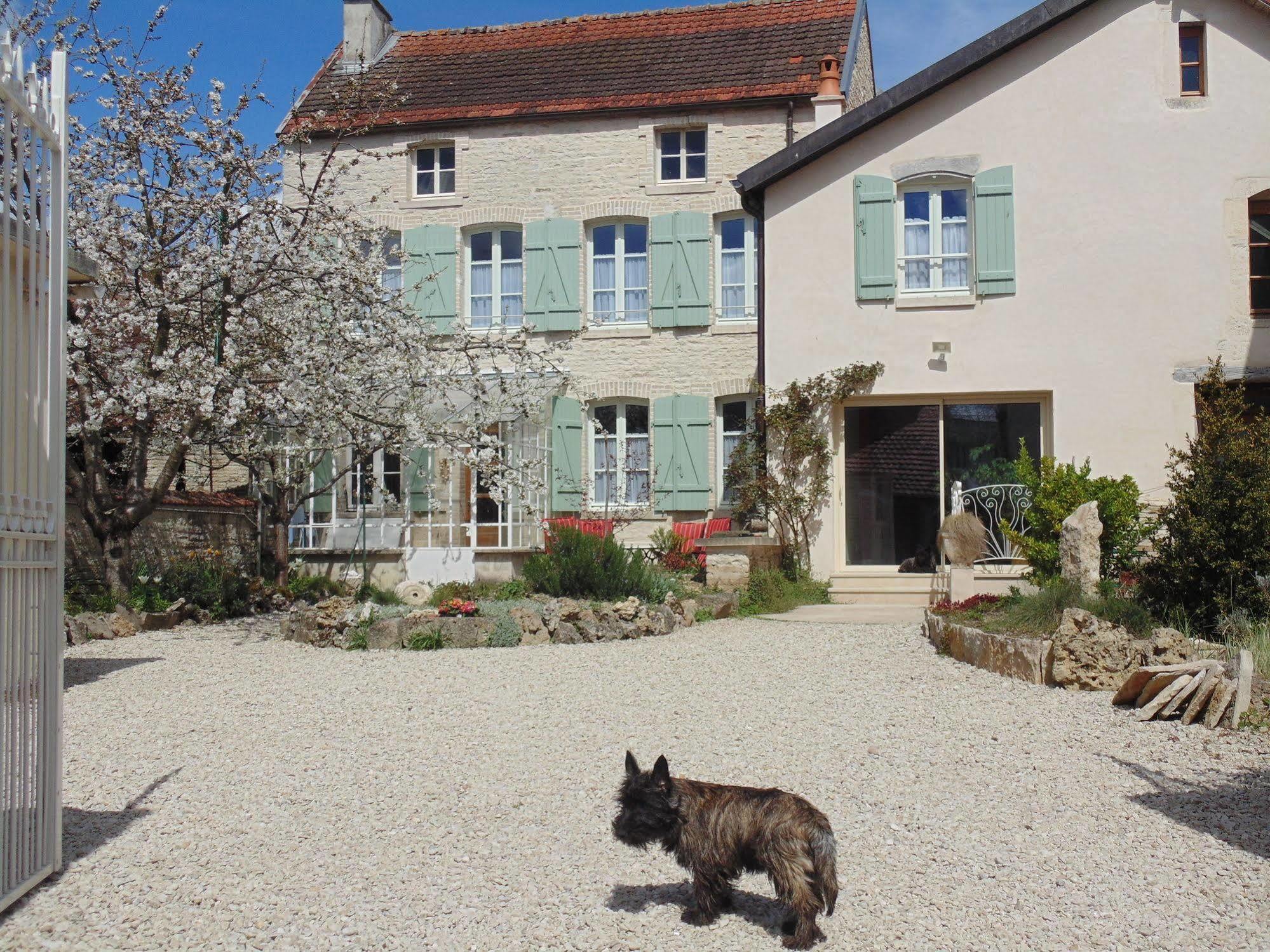 Mussy-sur-Seine La Promenade En Champagne B&B 외부 사진